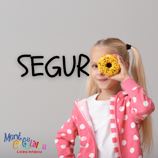 Seguro